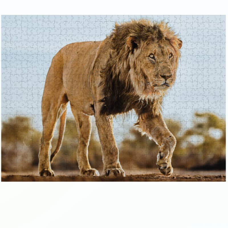 Ambassador - Wild Animal Families Donal Boyd 3x1000 Pcs - Shape 4 thumbnail 4