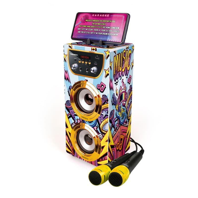 Karaoke Golden Star 2 Microphones thumbnail 4