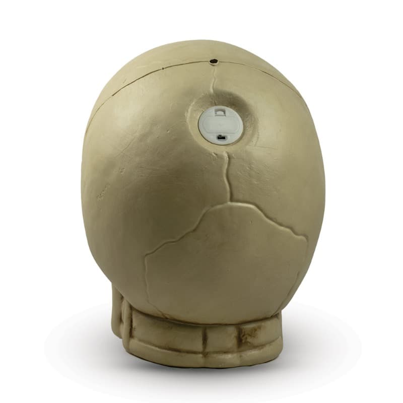 Mad Toys 14-Inch Giant Light Up Skull thumbnail 4